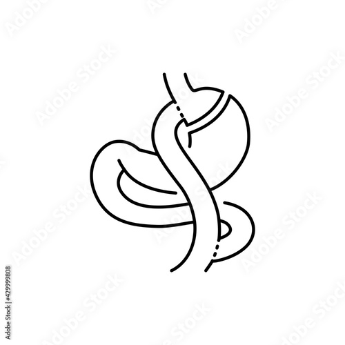 Gastric bypass Roux-en-Y olor line icon. Pictogram for web page, mobile app, promo.