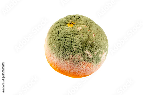 Photography Rotten orange isolated on white background