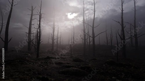 Burnt sizzling forest over dark sky with dead trees after fire, camera footage moving forward. Black smoky coal landscape about ecology and climate change. Footage in Full HD, 25 FPS with copy space
