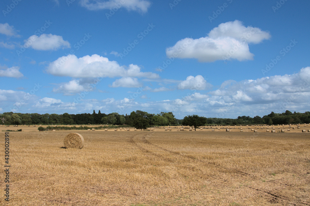 Straw bales in the summertime.