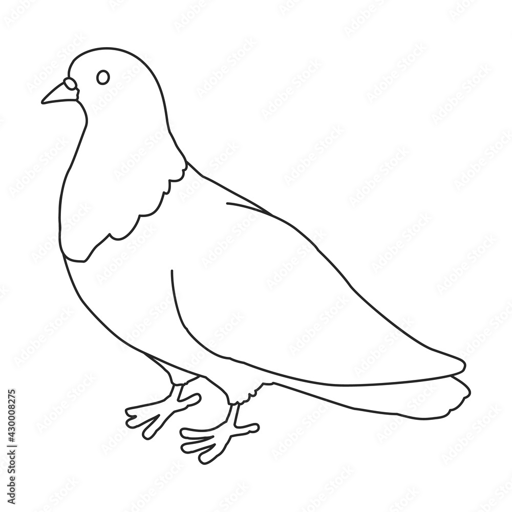 Dove vector outline icon. Vector illustration pigeon on white background. Isolated outline illustration icon of dove . Dove vector outline icon. Vector illustration pigeon on white background. Isolated outline illustration icon of dove .