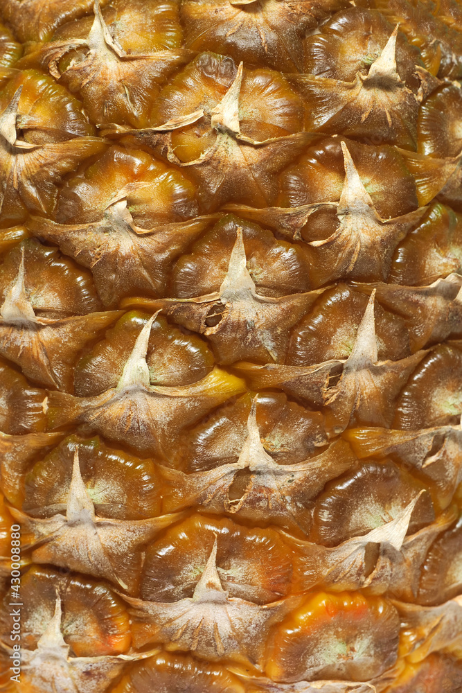 Fresh ananas comosus texture. pineapple bark background