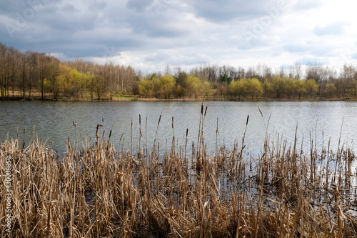 Spring trees are reflected in the lake against the blue sky. The awakening of nature.