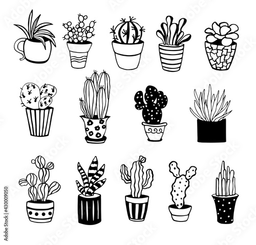 Cute hand drawn vector cactus.