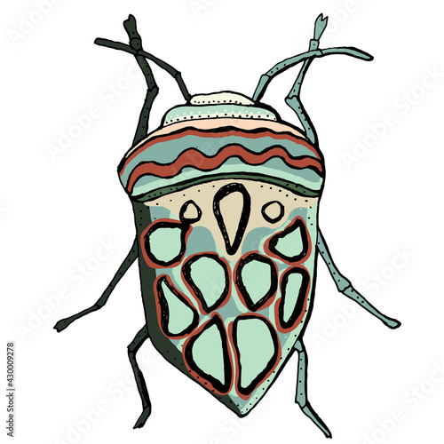 Insect vector illustration. African bug picasso. Hand drawn illustration.