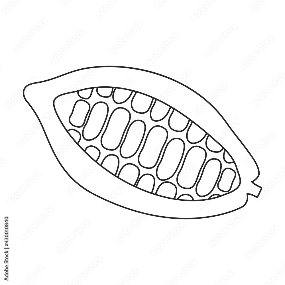 Cocoa bean vector outline icon. Vector illustration cacao on white background. Isolated outline illustration icon of cocoa bean . Cocoa bean vector outline icon. Vector illustration cacao on white background. Isolated outline illustration icon of cocoa bean .