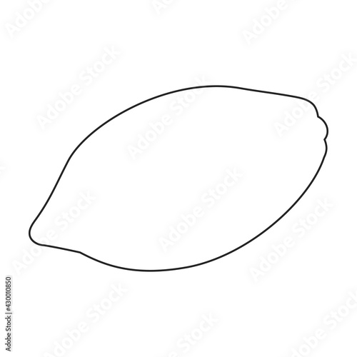 Cocoa bean vector outline icon. Vector illustration cacao on white background. Isolated outline illustration icon of cocoa bean .