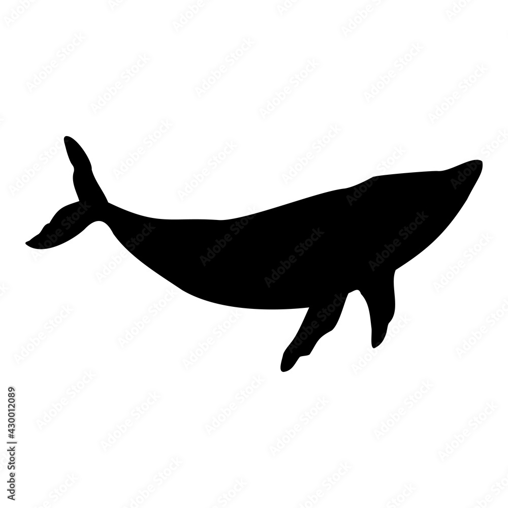 Blue whale isolated black silhouette. Marine animal. White background. Vector illustration clipart. Blue whale isolated black silhouette. Marine animal. White background. Vector illustration clipart.