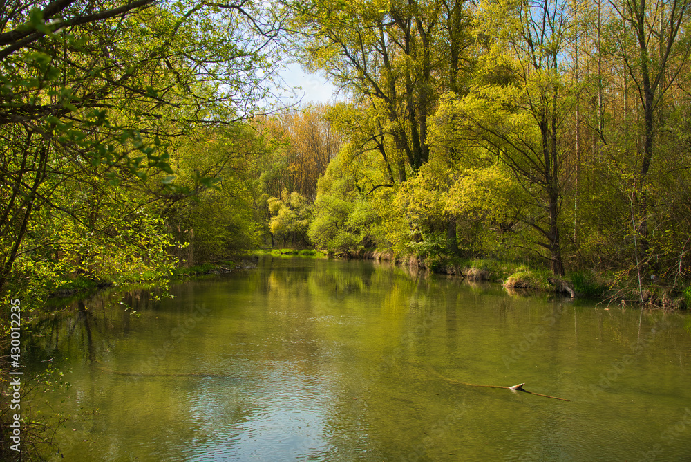 Rheinauen in der Ortenau Rheinauen in der Ortenau
