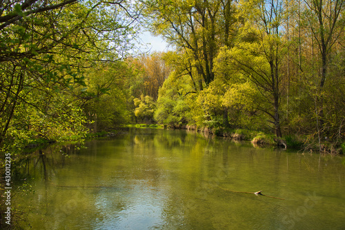 Rheinauen in der Ortenau