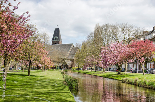 Rotterdam, The Netherlands, April 25, 2021: Statensingel canal in Blijdorp neighbourhood with blossoming trees in various colors and Prinsenkerk church in the background photo