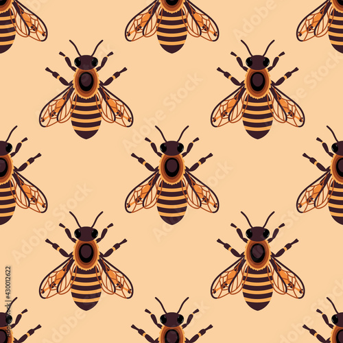 Honey bee seamless pattern. Background with bees. Vector background. © Elena