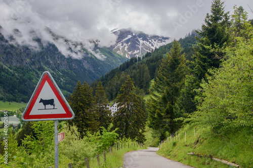 Wallpaper Mural Beautiful alpine landscape in Liechtenstein. Torontodigital.ca
