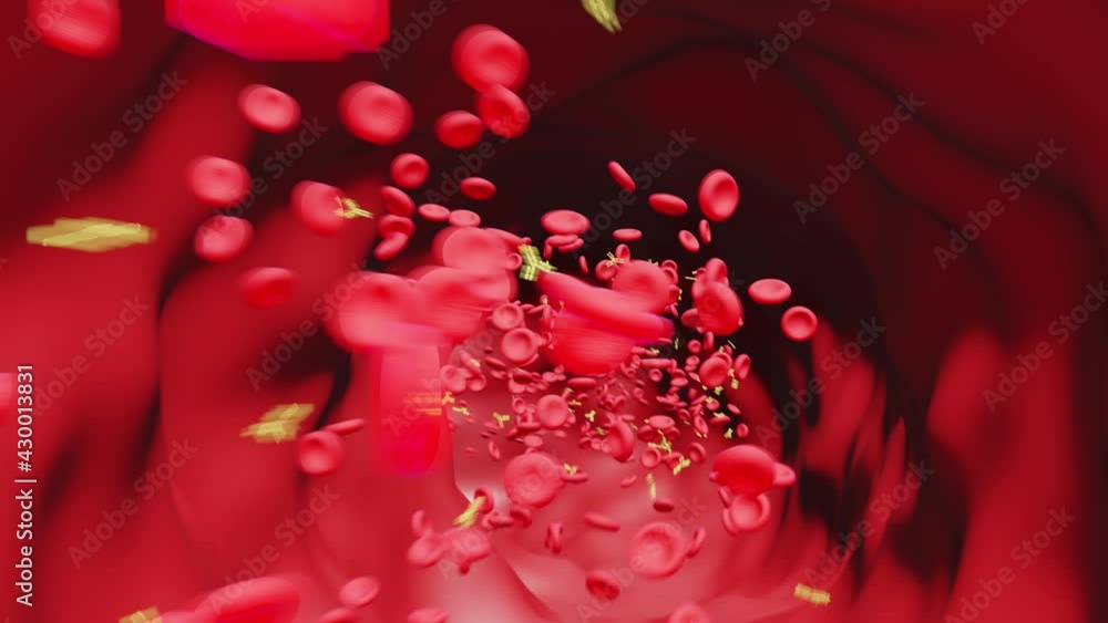 Blood Vessel: Red Blood Cells with Antibodies Blood Vessel: Red Blood Cells with Antibodies