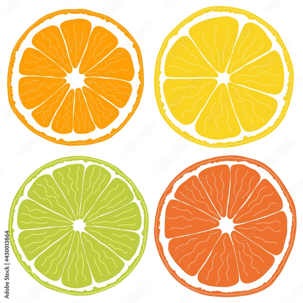 Obraz premium citrus fruits isolated on white background