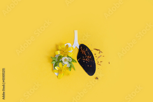 creative image of the lungs. one half with flowers and leaves, and the other black and with tobacco. concept of getting rid of bad habits world no tobacco day. no smoking photo