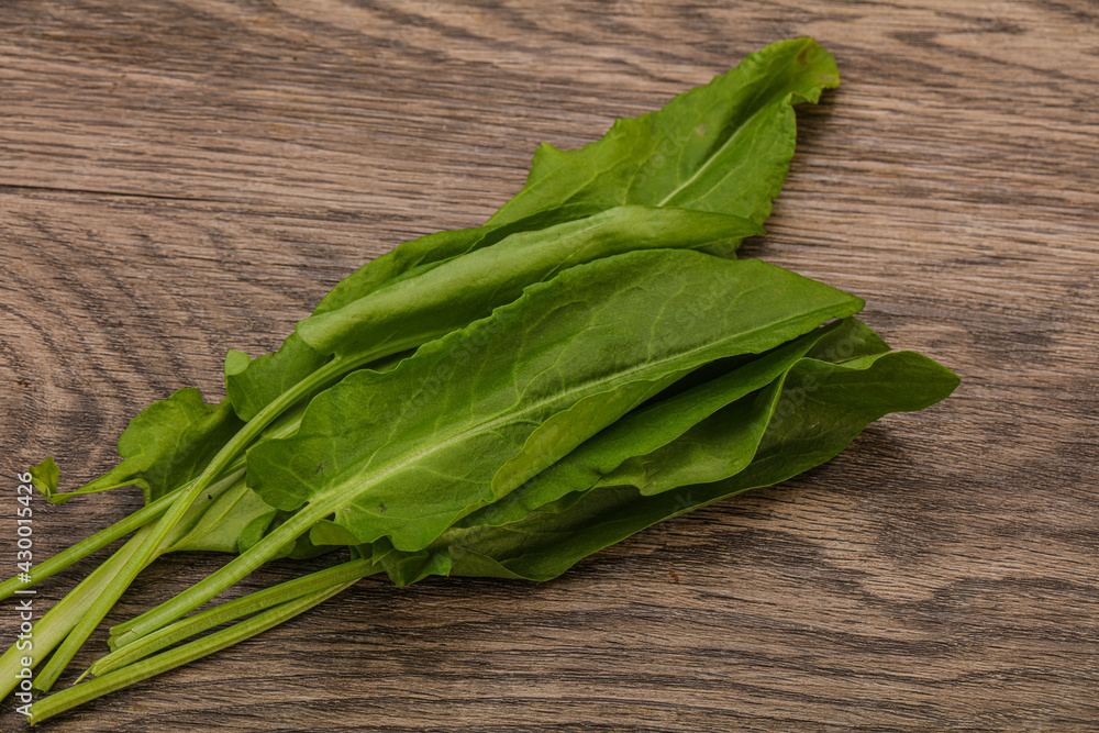 Aroma Fresh green sorrel heap Aroma Fresh green sorrel heap