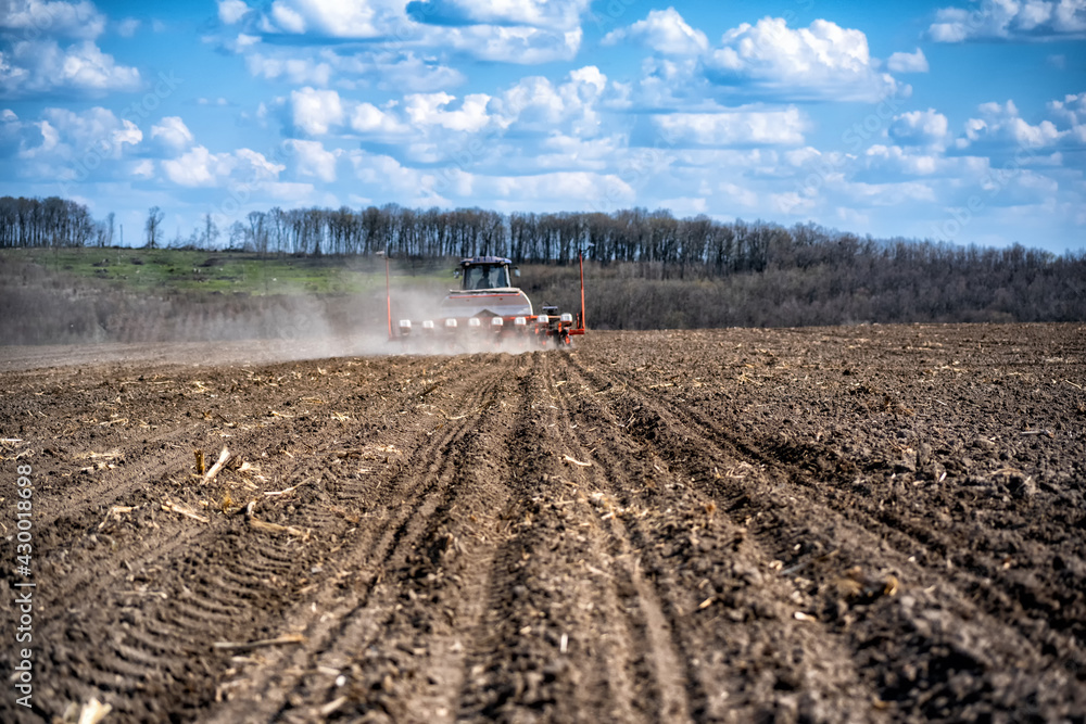 Fototapeta premium sowing work in the field. Tractor with seeder