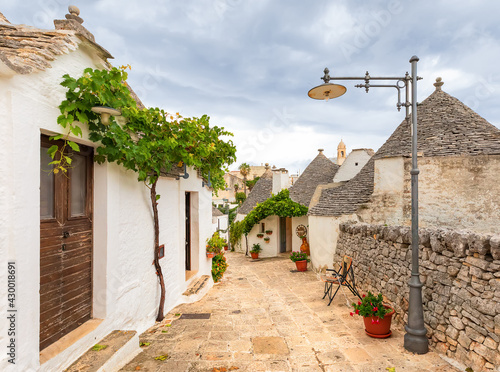 Stone`s  street of Alberobello village. Trulli buildings and grapevine, Pulia, Italy photo