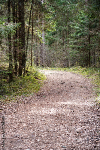 beautiful gravel road footpath in the spring forest © Martins Vanags
