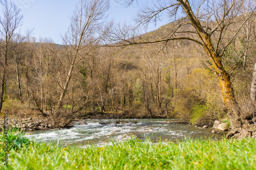 Amazing river in forest park landscape with green grass in foreground.Noguera Pallaresa river in Spanish Pyrenees. photo