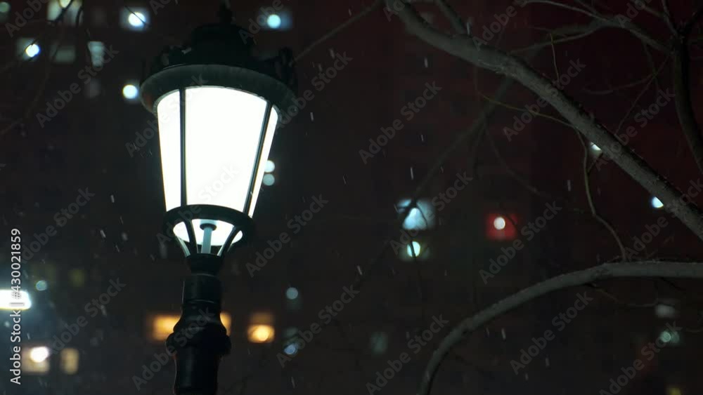 In winter, a white street lamp and dry branches in snow in front of residential buildings. The street lamp illuminats falling snow, making residential complex extremely quiet. In winter, a white street lamp and dry branches in snow in front of residential buildings. The street lamp illuminats falling snow, making residential complex extremely quiet.