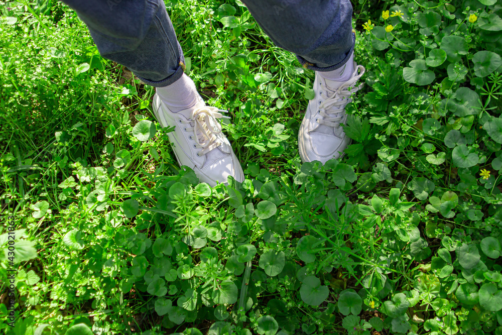 Legs in gym shoes on green grass. Walking on the green grass. Legs in gym shoes on green grass. Walking on the green grass.