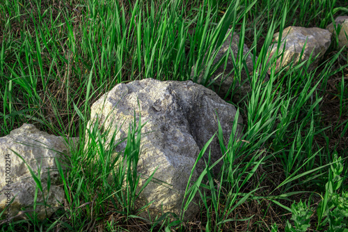 Large stone in the grass. Details of nature wallpaper.