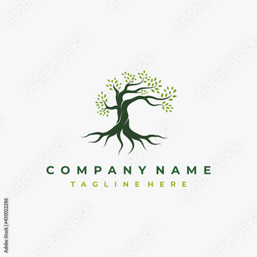Vibrant tree logo design, tree and root vector. Tree of life logo design inspiration