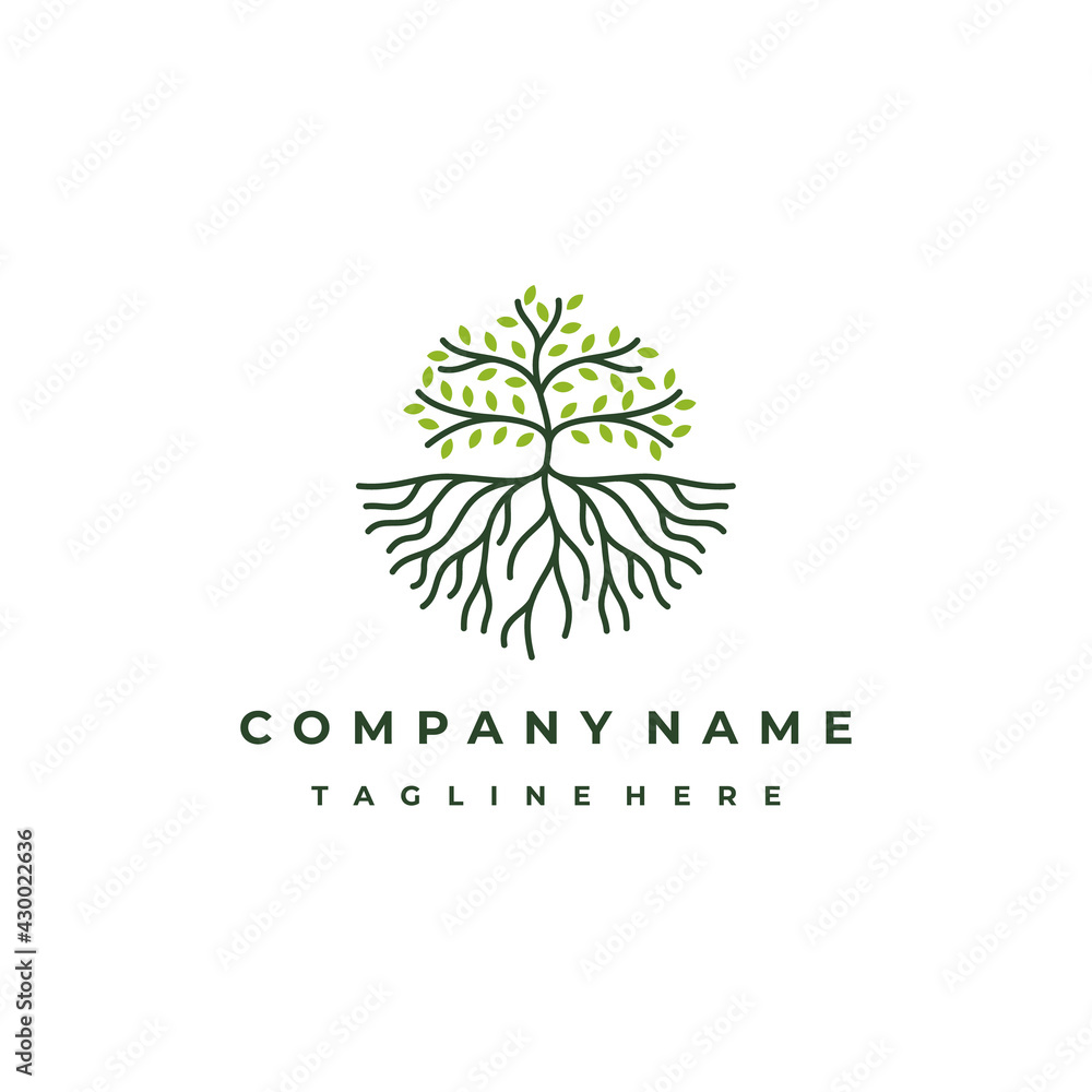Line art tree logo design, tree and root vector. Tree of life logo