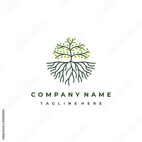 Line art tree logo design, tree and root vector. Tree of life logo design inspiration
