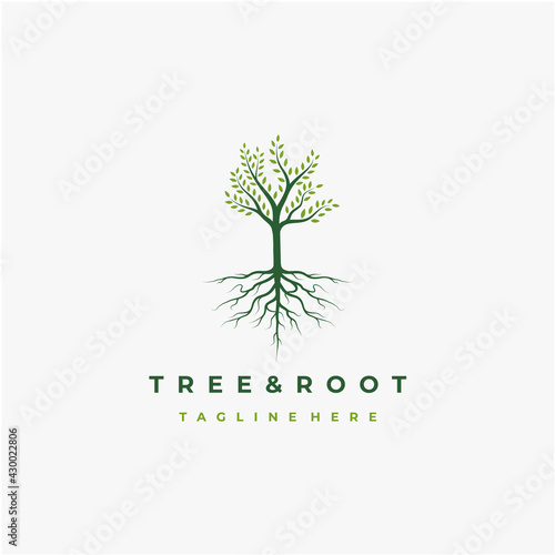 Vibrant tree logo design, tree and root vector. Tree of life logo design inspiration