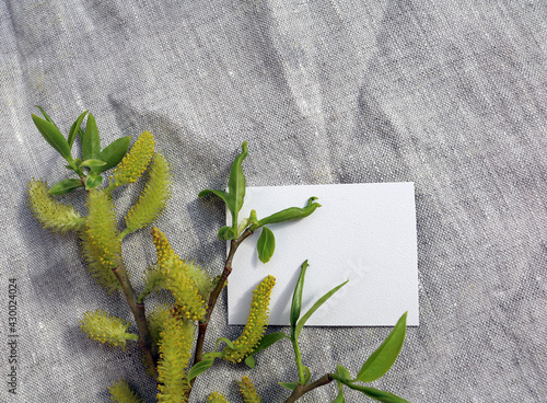 willow branch in a vase on a gray drapery
