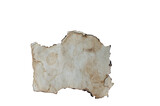 a sheet of old brown paper isolated on a white background