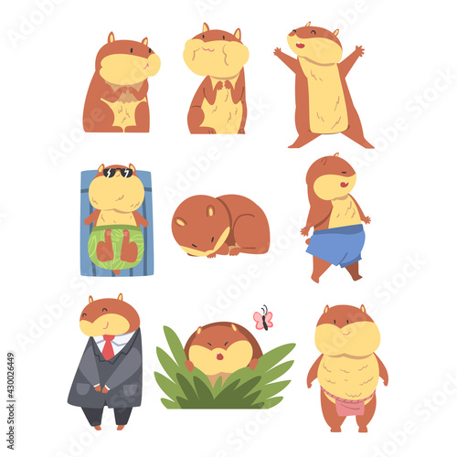 Cute Funny Hamsters Set, Adorable Animal Characters in Different Situations Cartoon Vector Illustration