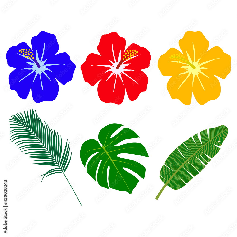 Fototapeta premium ハイビスカスと南国の植物