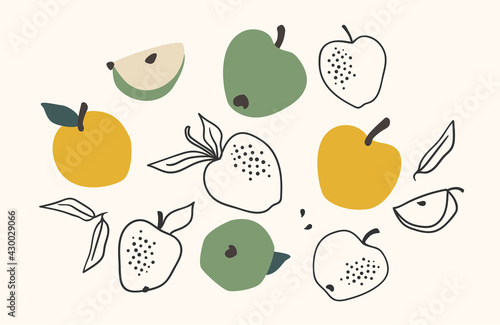 Set of drawn apples  Vector illustration. Isolated elements