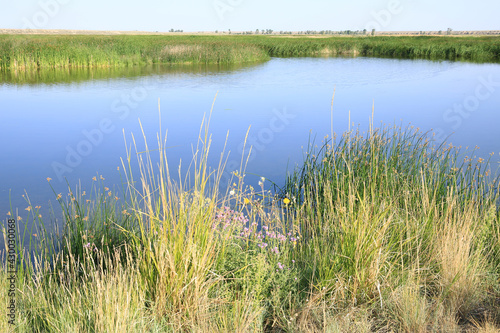 Green River in Seedskadee National Wildlife Refuge  Wyoming  USA