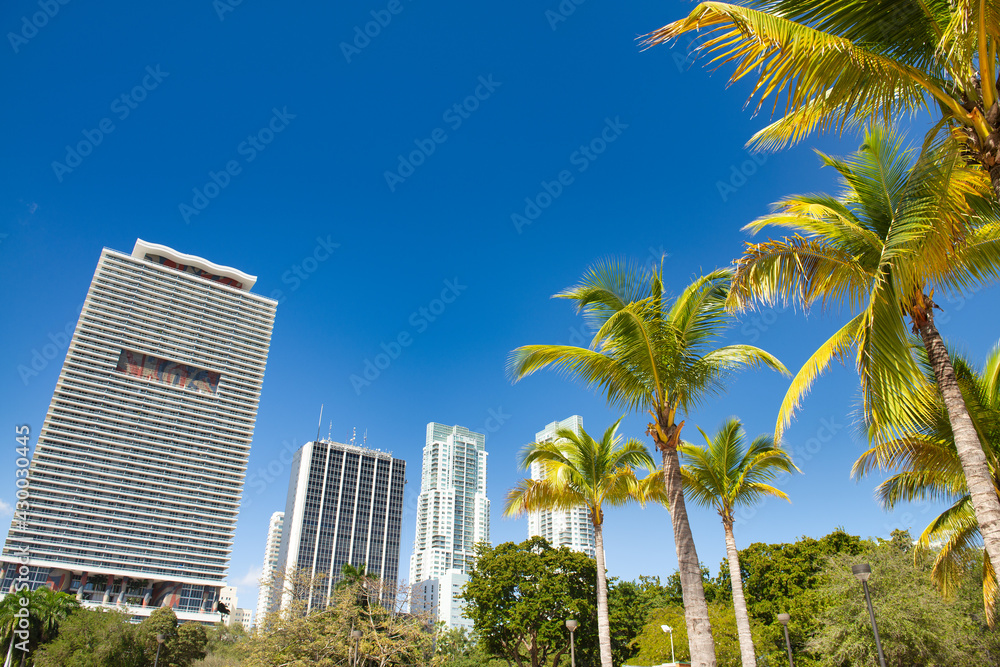 MIAMI, FL - FEBRUARY 2016: Modern city buildings along Biscayne Boulevard on a wonderful sunny day