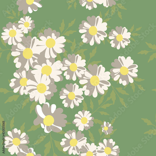 Fototapeta Naklejka Na Ścianę i Meble -  Pattern of flat chamomile flowers. White daisies on a green background. Illustration for backgrounds, wrappers, postcards, textiles, prints and any of your designs. Vector illustration. 