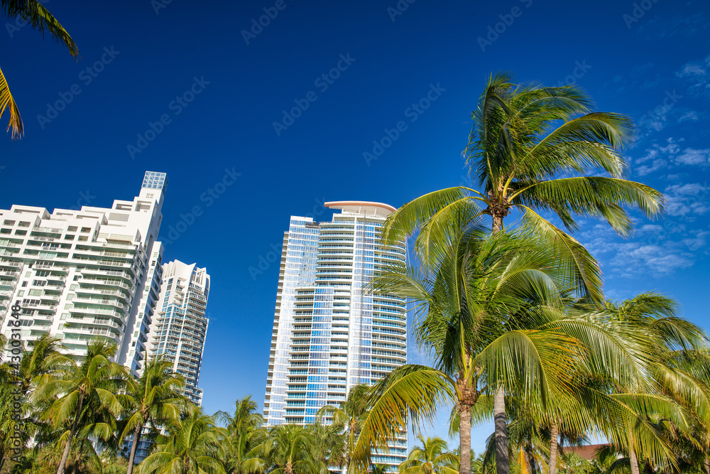 A group of tall buildings surrounded by palms