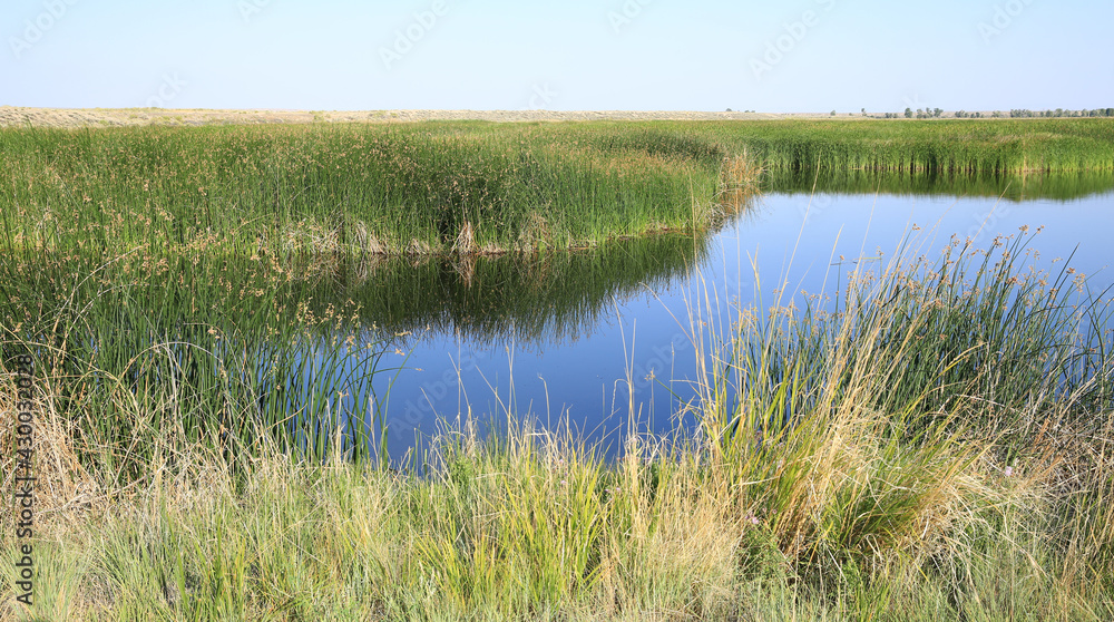 Seedskadee National Wildlife Refuge in Wyoming, USA