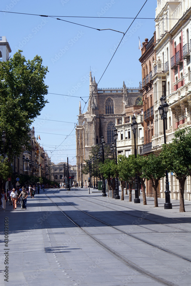 Obraz premium Cattedrale Siviglia