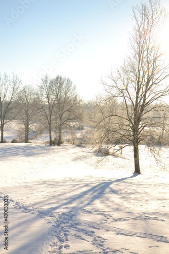 winter scene © Nadja