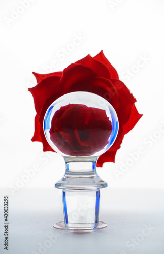 rose in a glass sphere