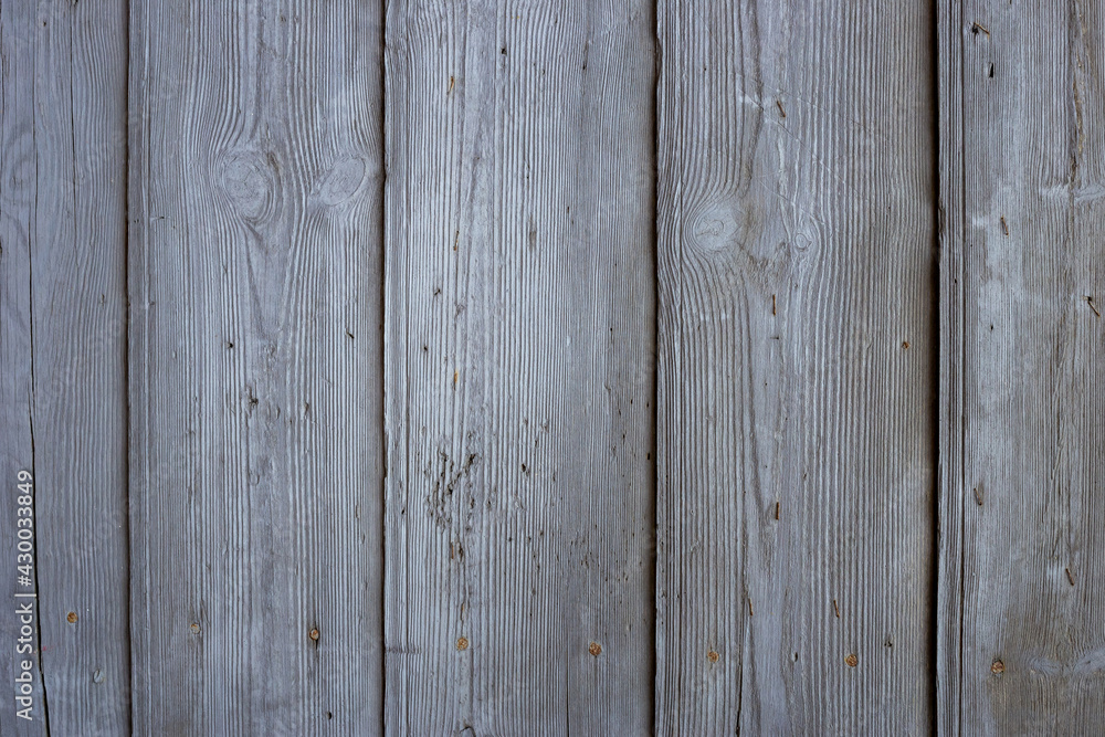 Fototapeta premium The old gray wood texture with natural patterns