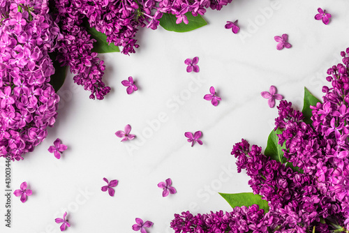 Flower composition. Spring lilac blossoming flowers on white background. Flat lay. Top view. Holiday concept