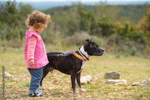 Fotobehang Little girl with a staffordshire bull terrier