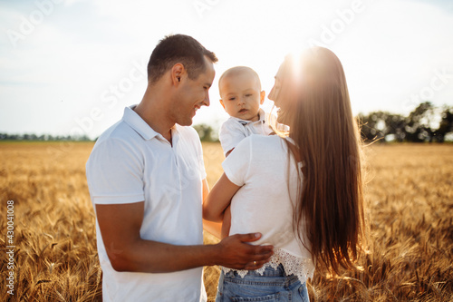 Happy parents hold a child in their arms in a wheat field. A woman and a man play with a child on a sunny summer day. Photo of a happy family.