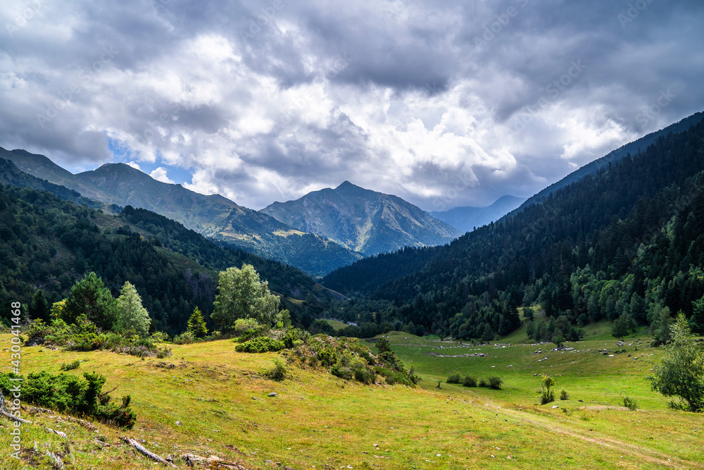 Beautiful mountainous landscape in an alpine valley with trees and green mountains. Outdoor summer vacation, nature and mountaineering concept. Pyrenees, Catalonia, Spain.